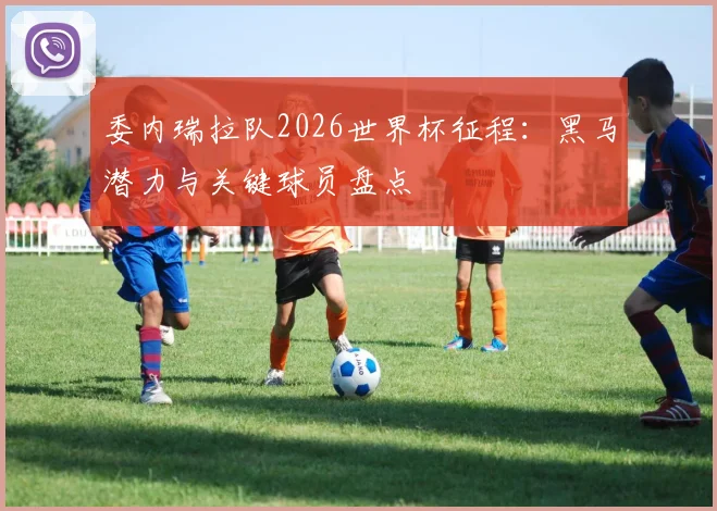 委内瑞拉队2026世界杯征程:黑马潜力与关键球员盘点