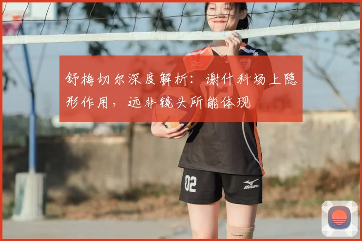 舒梅切尔深度解析：谢什科场上隐形作用，远非镜头所能体现