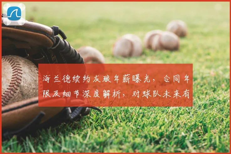 海兰德续约灰狼年薪曝光,合同年限及细节深度解析,对球队未来有何影响?