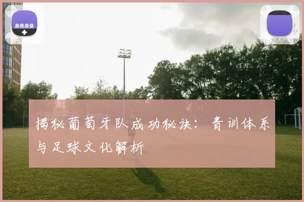 揭秘葡萄牙队成功秘诀:青训体系与足球文化解析