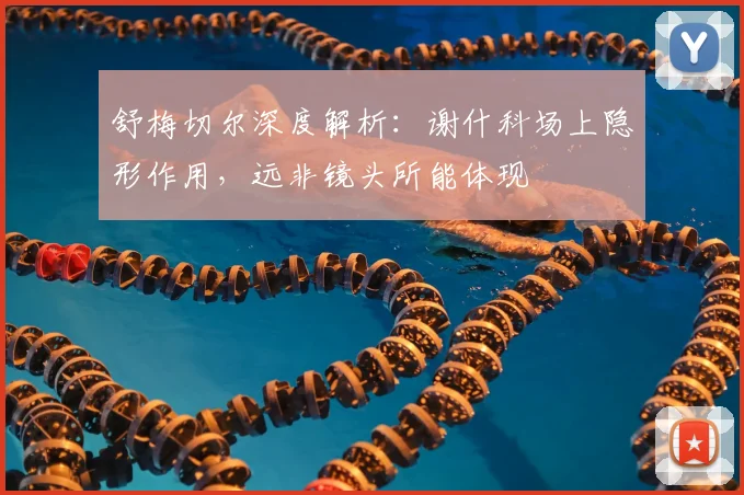 舒梅切尔深度解析：谢什科场上隐形作用，远非镜头所能体现